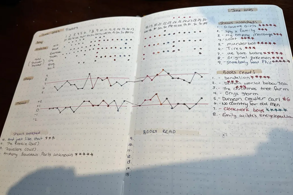 A bullet journal tracker layout that's minimalistic, with a list of days, activities, and then dots marking when those activities were completed. There's also a sleep chart and a mood chart, and a space to write down books read and shows watched.