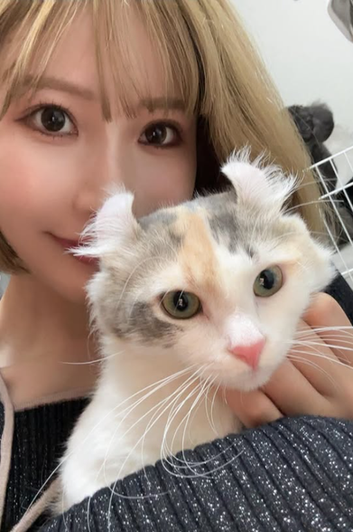 かわいすぎて話題！甘えん坊な新入り猫にゴルフ美女子もメロメロ！飼い主もとろける癒しのツーショット | 話題の投稿 | スポーツブル (スポブル)