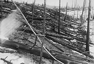 Black and white image of trees leveled.
