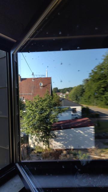 Das Foto zeigt die Spiegelung im geöffneten Fenster, auf das ich gestern den Vogelschutz gemalt habe.
Die Punktex sind so dezent, dass man auf dem Foto genauer hinsehen muss, um den Effekt zu erkennen. Ganz anders sieht es auf dem Video sieht man es direkt: die Punkte stören die Spiegelung und verleiten das Auge dazu, den Fokus umzustellen. Sobald man die Punkte fokussiert, wird die Spiegelung undeutlicher.
Ich aber leider macht der Autofokus da nicht mit. Sonst hätte ich einen Beweis.

Das mit den Wasserfarben ist super. Auch wenn man sie ganz dünn aufträgt, wird die Spiegelung gestört.