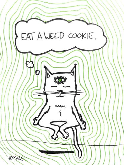 a cat floats in lotus pose as green energy waves emanate off of it and its third eye opens and it thinks "eat a weed cookie."