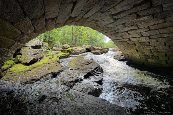 A moss-covered stone arch bridge frames the top of the image as the viewer looks out from beneath it toward a forest stream. The water tumbles over rugged rocks, forming whitewater rapids that contrast with the rich green moss blanketing the boulders and forest floor. Tall trees line the background, their leafy canopy diffusing soft daylight.