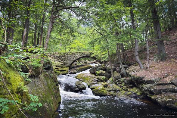 A small waterfall spills gently over mossy rocks in the middle of a tranquil forest. The stream flows beneath a graceful stone arch bridge in the background, partially framed by the overhanging branches of tall, leafy trees. The rocks along the riverbank are carpeted in moss, and dappled sunlight filters through the dense canopy, casting a soft glow across the water and surrounding foliage.