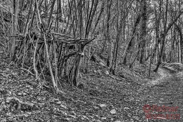 Schwarzweiß-Fotografie im Format 3:2 waagerecht. Auf einem rechts im Bild, bergan führenden Waldweg, in einem Laubwald, Ende März. Es ist noch kaum frisches Grün zu sehen. Links, am Wegrand, haben Kinder einen luftigen Unterstand an den leicht abschüssigen Hang gebaut. Es könnte ein Zollhäuschen sein.