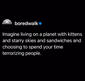 from @boredwalk resistance group on Ig

"Imagine living on a planet with kittens and starry skies and sandwiches and choosing to spend your time terrorizing people."