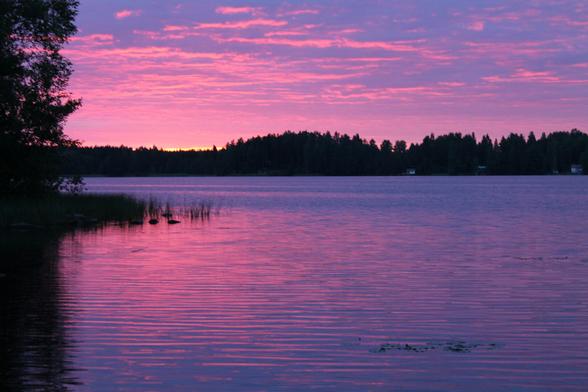 Colorful sunset at a lake. The sky is vibrant pink and purple and the water reflects those colors.

On the left side of the photo there is some trees and grass in the shadows. On the other side of the lake there is forest and some white houses.