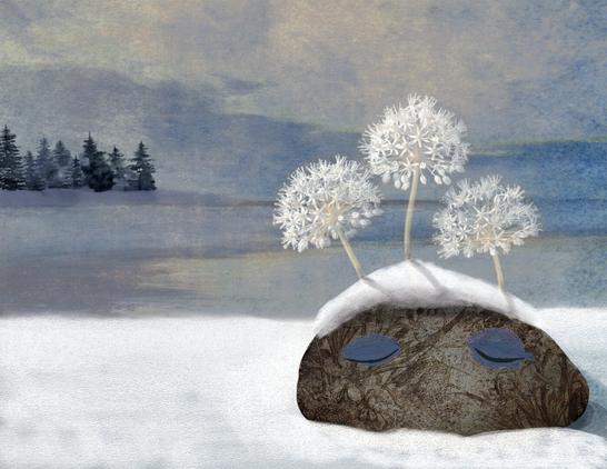 Pine trees line the distant shore of a lake, backlit against a stormy blue-gray sky. In the foreground, on a snowy bank, a solitary stone rests. Upon its face, two closed eyes and a linear pattern of foliage. Atop its gray head, a bit of snow and white, ghost-like blooming flowers from memories past.