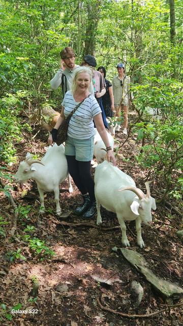 Me in a stripy tee-shirt looking very happy in the woods. There are white goats either side of me. Other people and more goats are behind me.