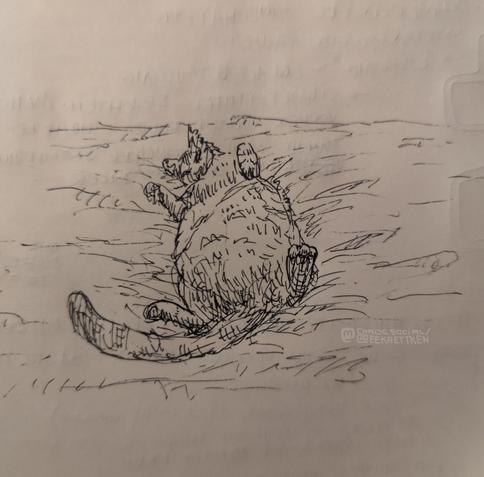 Black Fineliner on paper

Sketch of a cat lying on its back, belly up in the air, view from backwards up. It is lying on some kind of garment, sinking a bit into the ground.