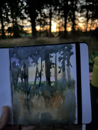 The on the spot photo I took before it got really dark