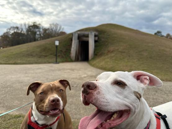 Peter and Marcel at Ocmulgee Mounds and Earth Lodge in Macon, Georgia. Picture by Happy Vegan Campers.