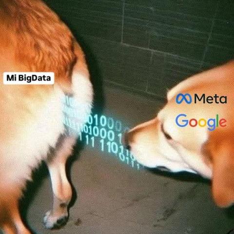Un meme que muestra a Google y Meta como un perro oliendo los datos personales (Big Data) de los usuarios, representados por otro perro, en una crítica humorística sobre la recolección de información. Texto generado con IA