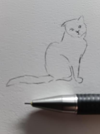 Zeichnung: Sitzende Katze schaut etwas bedröppelt zur Seite