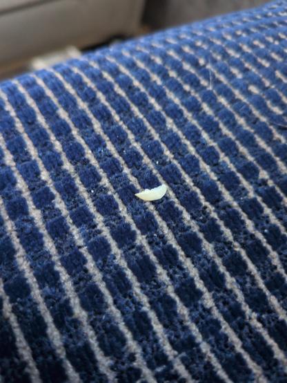 Gros plan sur un ongle coupé posé sur un siège de bus