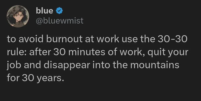 social media post saying: "to avoid burnout at work use the 30-30 rule: after 30 minutes of work, quit your job and disappear into the mountains for 30 years."