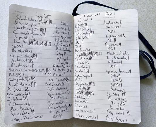 An open moleskine-type ruled notebook with a scruffily written list of moths and tally counts. Both pages have two complete columns of names and the names spill over into the margins at top and bottom.