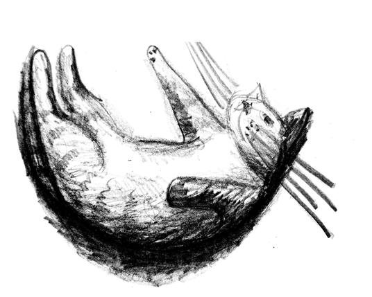 Pencil sketch of Emma! (tabby cat).
