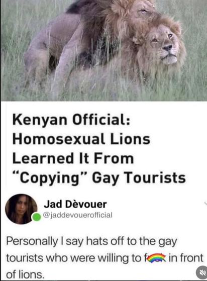 Kenyan officials: Homosexual lions learnt it from 'copying' gay tourists

Personally I say hats off to the gay tourists who were willing to fuck in front of lions