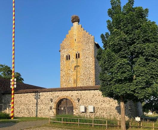 Farbfoto der Burg Riedheim, zu sehen sind Wohnturm und Ringmauer.