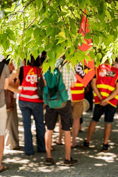 Net au premier plan, un branchage feuillu bien vert. Flou derrière des manifestant·es avec leur gilets rouge de la CGT et de FO