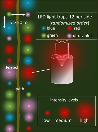 Figure 1 in Charvalakis et al. (2025): "Experimental design; 2 × 12 light traps (fitted with four differently coloured LEDs with three intensities) were placed at each side of a forest road. The order of light colour and intensity was randomized within each roadside. Insect trapping was done during 11 non-consecutive nights (minimally one night in between) during July and September."