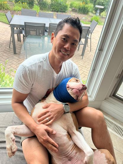 Me and Eugene, a brown and white pitbull dog who is wearing a blue head scarf over his neck and ears. He is laying on his back with his chest and belly exposed, and I am holding him like a baby.