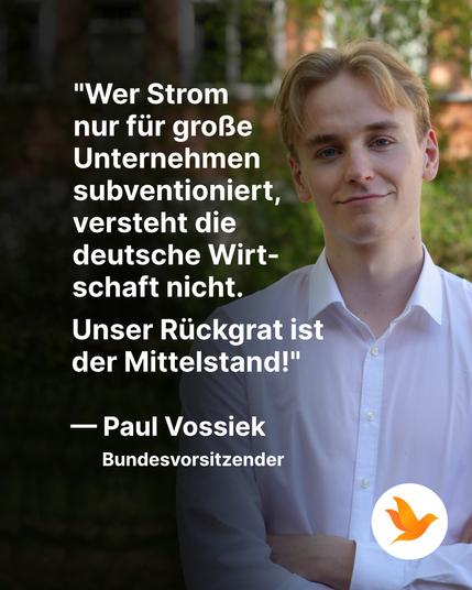 Zitatkachel mit einem Zitat unseres Bundesvorsitzenden Paul Vossiek: "Wer Strom nur für große Unternehmen subventioniert, versteht die deutsche Wirtschaft nicht. Unser Rückgrat ist der Mittelstand!"