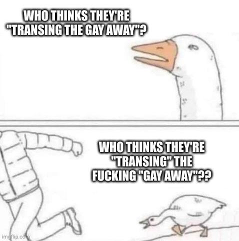 Goose chase meme.

Top panel: skeptical looking goose saying `who thinks they're "transing the gay away"?`

Bottom panel: someone in a puffy jacket and pants being chased by the goose. The goose is saying `who thinks they're "transing" the fucking "gay away"??`