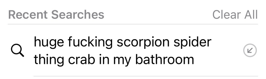 Search engine noting that I just searched “huge fucking scorpion spider crab thing in my bathroom”