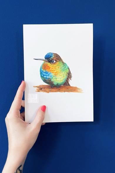 Fertige Illustration eines Kolibris, der in vielen verschiedenen Farben schillert (rot, orange, gelb, grün, türkis, blau und braun). Er guckt pissig und sitzt auf einem Ast. Das Bild wird vor eine dunkelblaue Wand gehalten