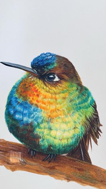 Nahe Detailaufnahme des Kolibris, man sieht die vielen einzelnen Farbstriche die das Gefieder darstellen und dem Vogel Tiefe verleihen.