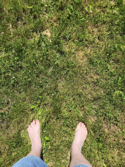 Simple photo of a woman's bare feet on a summer green lawn on
Canada Day ... July 1st, 2025.