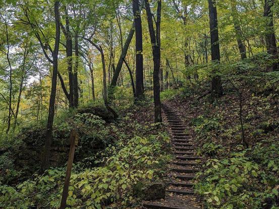 One of a series of photos taken in autumn at a forested midwestern U.S. park featuring a cave system.