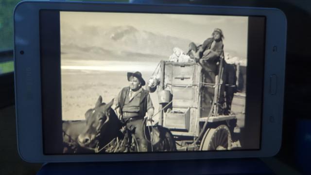 A photo of 20 Mule Team [1940] playing on my tablet in the woods, showing Skinner Bill Bragg and his Piute swamper Pete dragging 60,000 pounds of borate out of the desert.