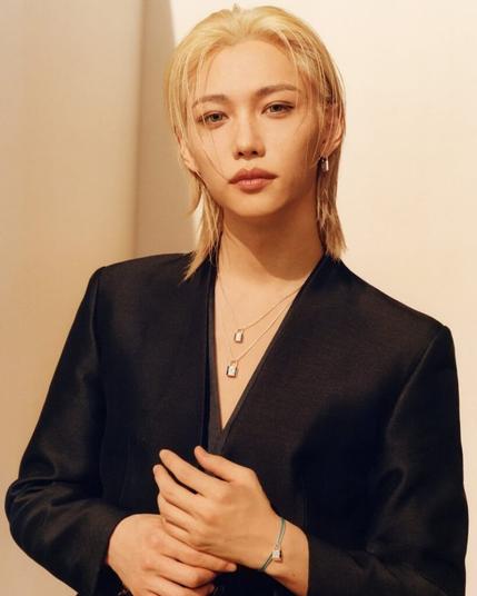 250702 Louis Vuitton Silver LockitコレクションのFelix