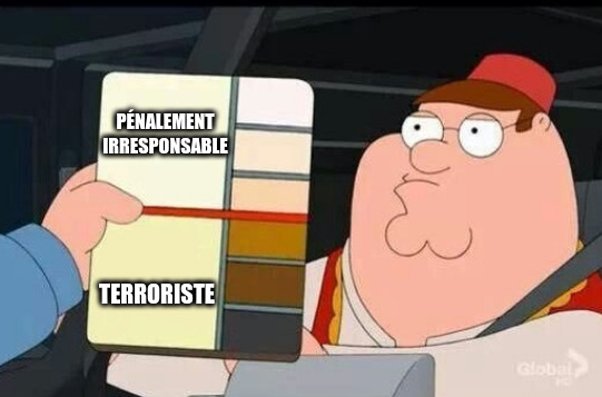 meme "familly guy color chart" 

clair = "pénalement irresponsable" 
foncé = "terroriste"