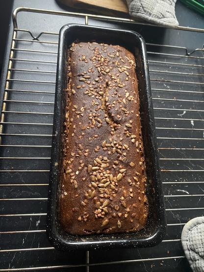 Fertig gebackenes Brot noch in der Form. Ein Riss in der Mitte ist nicht ganz vollständig. An den Rändern sieht man, dass die Kruste etwas abgehoben ist.