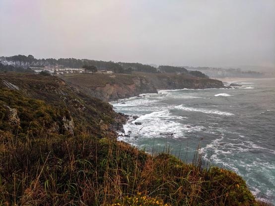A moody, wide-angle shot of a rugged coastline under an overcast sky. Choppy turquoise and white waves crash against dark rocks below steep, grassy cliffs. Pine trees line the cliff tops in the middle distance, behind which a cluster of white buildings are faintly visible. In the foreground, tall, dry grasses and some small yellow wildflowers partially obscure the lower left of the frame.