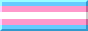 transgender pride flag (5 horizontal stripes: blue, pink, white, pink, blue)