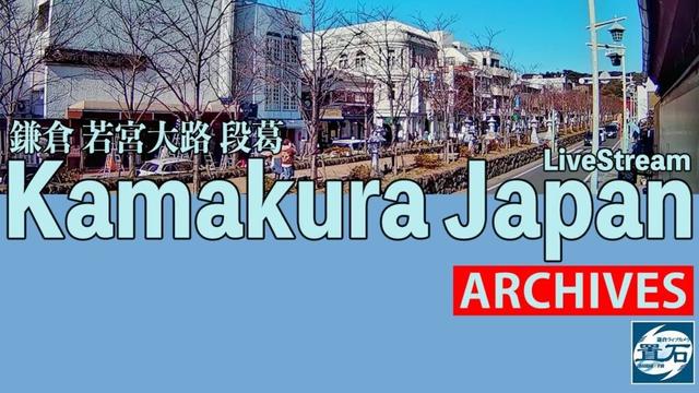 🏙️【アーカイブ専用配信】鎌倉 小町 若宮大路 「段葛」ライブカメラ Kamakura Dankazura LiveCam Archive 2025-07-02-07:00〜