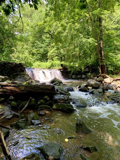 A view of a waterfall surrounded by woods with vivid green foliage. The water is higher than usual, tumbling down the rocky terrain beneath the cloudy sky.