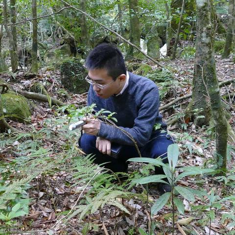 A researcher in glasses and a dark blue sweater crouches in a dense forest environment, examining plants with a handheld magnifying glass. He is surrounded by ferns, fallen logs, moss-covered rocks, and leaf litter on the forest floor.