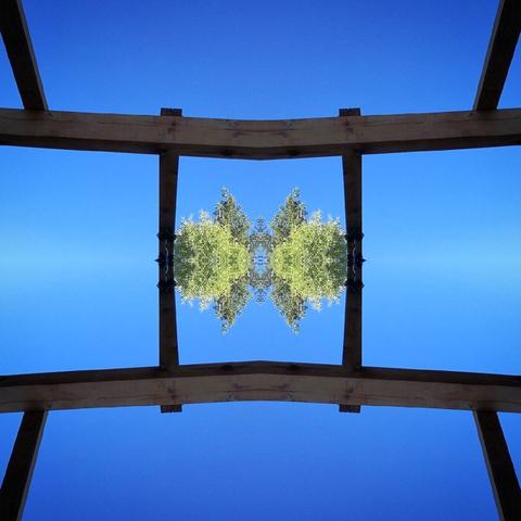 Symmetrical view of a wooden structure and a floating tree