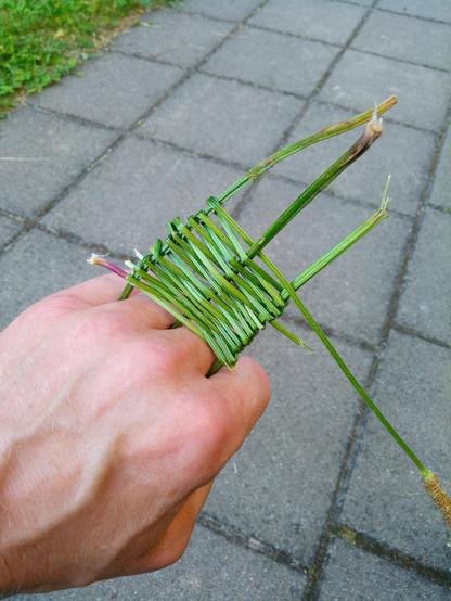 Ein Handrücken ist zu sehen, Finger und Daumen sind eingeklappt. Zwischen den Fingern stecken dicke Stängel, die von etwas dünneren Stängeln eingewebt sind.