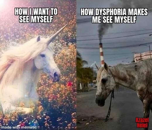 HOW I WANT TO SEE MYSELF

HOW DYSPHORIA MAKES ME SEE MYSELF