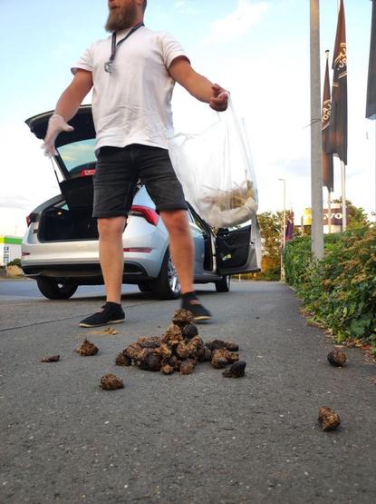 Ein Mann mit Bart und kurzen schwarzen Shorts steht vor einem offenen Kofferraum eines silbernen Autos. Er trägt eine weiße T-Shirt und schwarze Schuhe und hat eine Plastiktüte in der Hand, die er gerade aus dem Kofferraum nimmt. Auf dem Asphalt vor ihm liegt eine Menge Hundehaare. Der Mann trägt Handschuhe und scheint dabei zu sein, die Hundehaare in die Plastiktüte zu stopfen. Im Hintergrund sind Bäume, ein Gebäude mit einem Volvo-Schild und mehrere Fahnen auf Pfosten zu sehen. Der Himmel ist klar und blau.