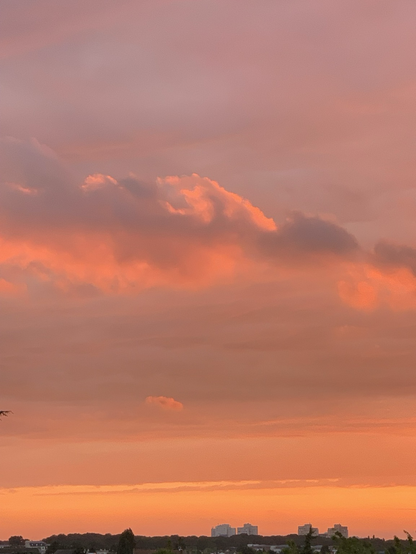 Coucher de soleil de feu sur la banlieue