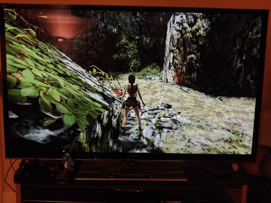 A video game showing a woman surrounded by rocks and leaves
