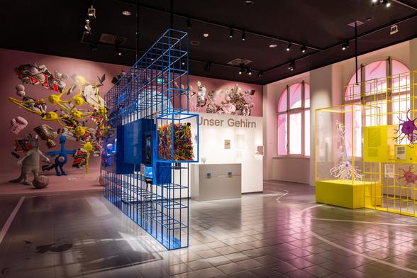 Interior of a special exhibition on the human brain at the Senckenberg Nature Museum in Frankfurt. The room features colorful, modern displays, including a blue wireframe structure with an abstract model of multicolored threads, representing neurons, and a yellow-framed case containing a neural network sculpture. The background wall reads “Unser Gehirn” (German for “Our Brain”) and is adorned with vibrant, artistic representations of brain-related imagery and neural elements. The space is brightly lit, with pink window lighting casting a soft glow across the tiled floor.