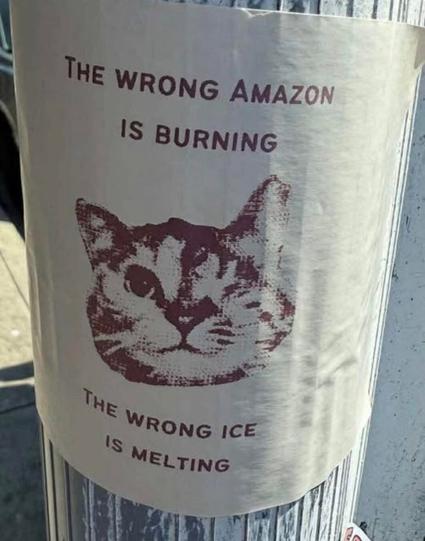 Picture of a pole in the street with a poster glued on it. On the poster: Face of a cat and two sentences: The wrong Amazon is burning, The wrong Ice is melting